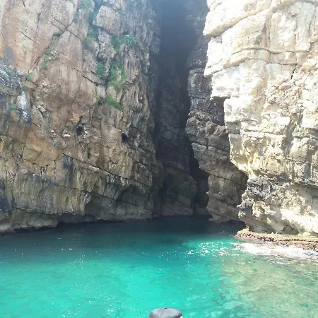 Maui Alcamo