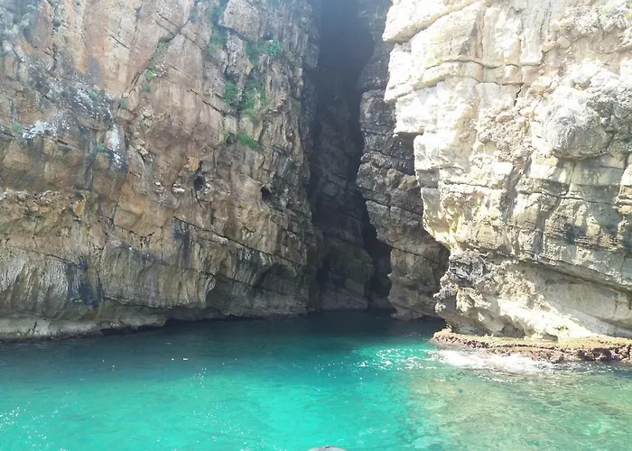 Maui Alcamo