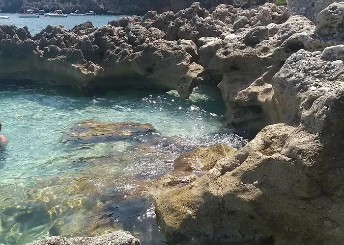 Maui *